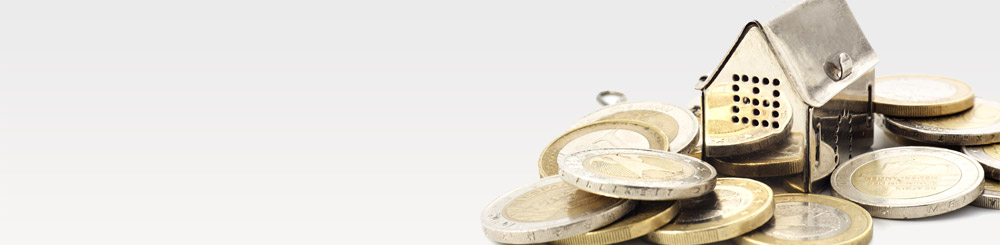  Investment Opportunities